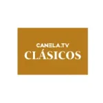 Canal 24