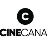 Canal 31